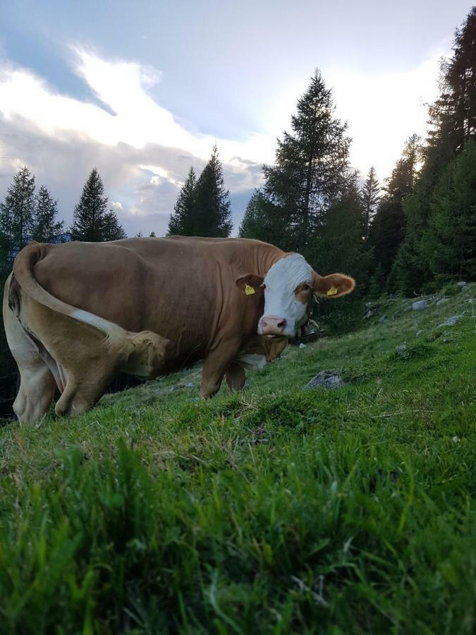Ferienwohnung Am Bauernhof Zechner Heidi Flattach Kültér fotó